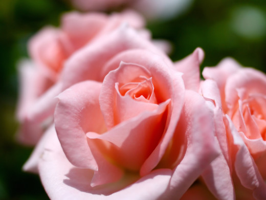 743667 (a): :2560x1922